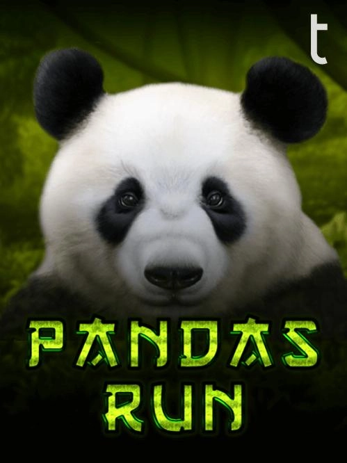 Busca explosiva 4